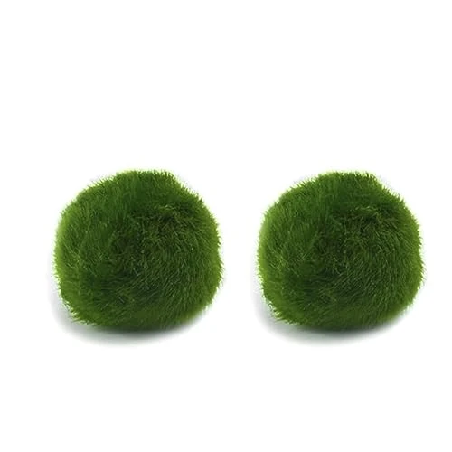 Offerta a tempo: Marimo Set sfuso diametro 2-3 cm - Originale e Certificato - Solo Marimo (2) — 17% da 11,90 € a 9,90 €