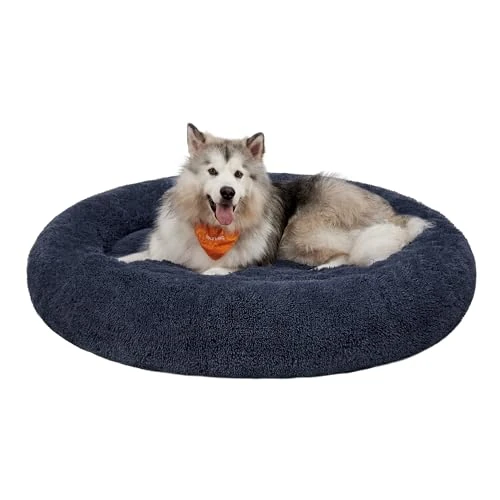 Offerta a tempo: Feandrea Cuccia Cane Interno, Cuccia per Cani, Lettino per Animali Domestici a Ciambella, Cuscino Sfoderabile e Lavabile, Tappeto di Peluche, Diametro 140 cm, Grigio Scuro PGW044G02 - 38% da 79.99 € a 49.99 €