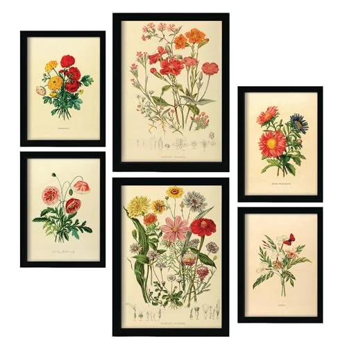 Limitiertes Angebot: Nacnic 6er-Set Blumensträuße 2 Poster. In Vintage -Drucke. Ästhetische Deko-Drucke für Ihr Wohnzimmer, Schlafzimmer, Zuhause Größen A4 und A3 von 15.57 EUR auf 15.57 EUR (Spare 0%)