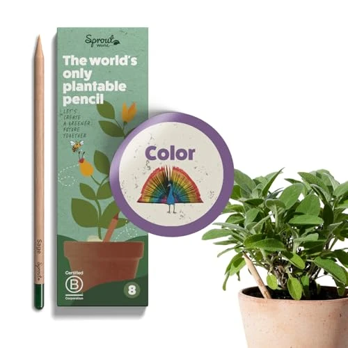 Offerta a tempo: SproutWorld Matita | Edizione Colore | Set di 8 Matite Colorate Piantabili con Semi di Fiori, Erbe e Verdure | 8 matite colorate | Ottimo per libri da Colorare - 0.00% da 13.95 € a 13.95 €