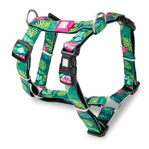 Max & Molly Dog Harness in H-Shape, Ultra Comfortable Neoprene Harness for Very Small Dogs, Tropical/XS, Padded, Safe & Ultralight - Comfort for Your Faithful Companion