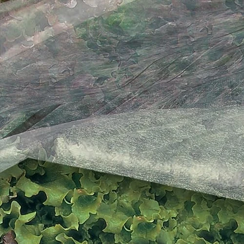 Limitiertes Angebot: TENAX Ortoclima Wachstumsvlies 1,60x5 m Weiß, leichtes Frost- und Schutzvlies für Pflanzen und Kulturen, aus Vliesstoff 17 g/m², Schützt Pflanzen, Blumen und Gemüse vor Kälte und Wind von 1.73 EUR auf 1.73 EUR (Spare 0%)