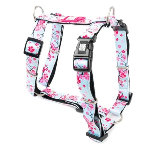 Offre limitée : Max & Molly Harnais pour Chien en Forme de H, Harnais Ultra Confortable Chien en Néoprène pour Très Petits Chiens, Cherry Bloom/XS, Rembourré, Sûr & Ultra Léger - Confort pour Votre fidèle Compagnon de 34.80 € à 34.80 € (0.00% de remise)