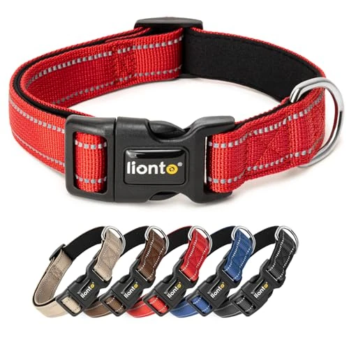 Offerta a tempo: lionto Collare Cane Riflettente 360°, Imbottita, Taglia M, Rosso - 36% da 13.95 € a 8.95 €