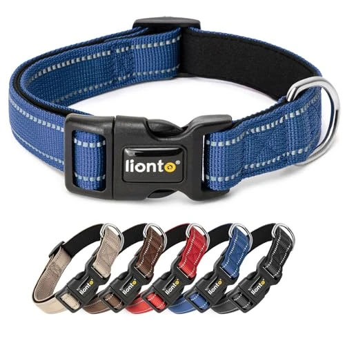 Oferta limitada: lionto Collar de Perro Acolchado Collar de Nylon Reflectante Impermeable Ajustable, Tamaño S, Azul de 12.95 € a 12.95 € (ahorro 0.00%)