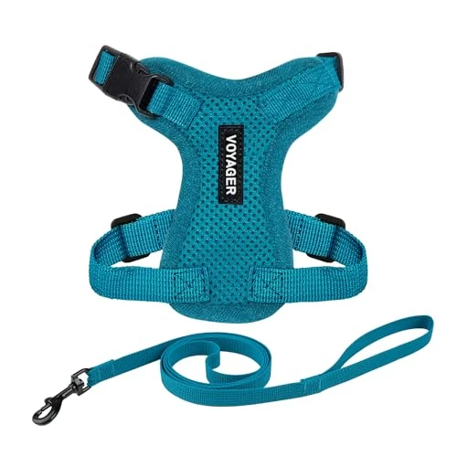 Oferta limitowana: Voyager Step-in Lock regulowana uprząż dla kota w zestawie ze smyczą, z neoprenowym uchwytem, 1,5 m, dla kotów małych, średnich i dużych, Best Pet Supplies, kolor turkusowy, rozmiar S z 32.53 zł na 32.53 zł (oszczędź 0.00%)