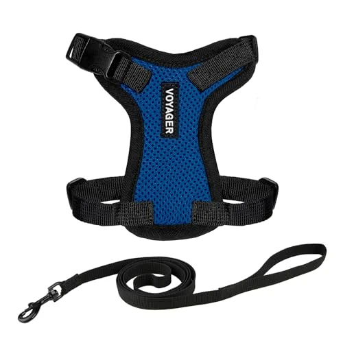 Best Pet Supplies Voyager - Set combinato di guinzaglio regolabile per gatti con manico in neoprene, 1,5 m, supporta gatti di razza piccola, media e grande di Best Pet Supplies - Blu reale/bordo nero,