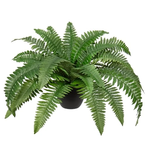 Offerta a tempo: Hollyone Pianta artificiale di felce di Boston da 60 cm in vaso, cespugli di felce finti in vaso per interni ed esterni, felci artificiali di Boston per la decorazione della casa, giardino, patio - 0.00% da 32.99 € a 32.99 €