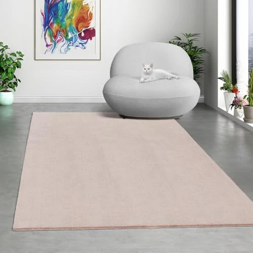 Limited-time offer: Mias Teppiche Comfort Modern Fluffy Short-Pile Carpet, Anti-Slip Backing, Washable up to 30 Degrees, Super Soft, Faux Fur Look, Blush, 160 x 220 cm from 42.54 GBP to 42.54 GBP (save 0%)