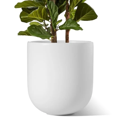 Offerta a tempo: LE TAUCI 30 cm Vaso per Piante, Vaso in Ceramica per Piante da Interno, Vasi per Piante per Casa, Giardino, Patio Ufficio, Vaso per Fiori da Esterno con Fori di Drenaggio, Bianco - 16% da 89.99 € a 75.99 €