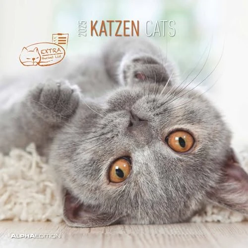 Offerta a tempo: Cats 2025 CALENDARIO DA PARETE 30X30 CM - 38% da 6.99 € a 4.31 €