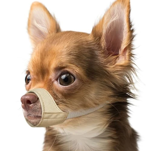 Mayerzon Short Snout Dog Muzzle, Small Muzzle for Chihuahua Shih Tzu American Bully Boxer Puppy, Soft Fabric Muzzles for Grooming Vet Visits, Prevent Biting Chewing Fighting