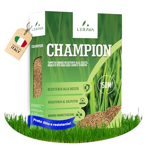 LERAVA CHAMPION semi prato (150m²) - festuca arundinacea di qualità - resistente a siccità e alte temperature - prato verde scuro fine - ideale per giardini e spazi verdi