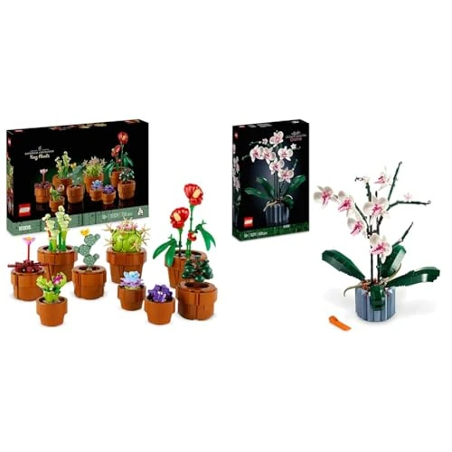 LEGO Icons Orchidea, Set Collezione Botanica Piante Artificiali & Icons Piantine, Set Collezione Botanica con Fiori Artificiali in Vaso Color Terracotta