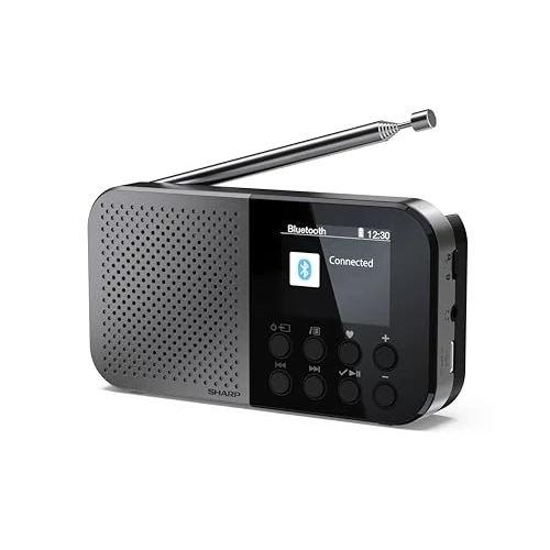 Offerta a tempo: SHARP DR-P520(GY) Osaka - Radio digitale portatile tascabile con Bluetooth 5.3, lettore audio mono DAB+/FM, compatto e leggero, alimentato tramite USB-C/a batteria, doppia sveglia, colore: grigio - 47% da 79.90 € a 42.18 €