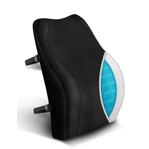 Offerta a tempo: Travel Ease Cuscino Lombare Ergonomico, Supporto per la Schiena in Gel Schiuma di Memoria per Seggiolino Auto Sedia da Ufficio, Schienale con Rivestimento Antistatico e Doppie Cinghie Regolabili,Nero - 17% da 46.99 € a 38.99 €