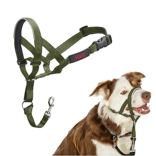Limited-time offer: Halti Headcollar - Stop Your Dog Pulling on the Lead. Adjustable, Reflective and Lightweight, with Padded Nose Band. Dog Training Anti-Pull Collar for Medium Dogs (Size 2, Forest Green) from 14.99 £ to 12.48 £ (save 17%)