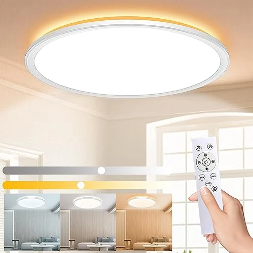Wholede 24W 3000LM Dimmable LED Ceiling Light with Remote Control, Round Ceiling Light, Ceiling Light for Bathroom, Bedroom, Living Room, Kitchen, Hallway