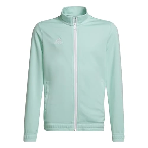 adidas Uniseks-Kind Entrada 22 Track Jacket, clear mint, 13-14 Years
