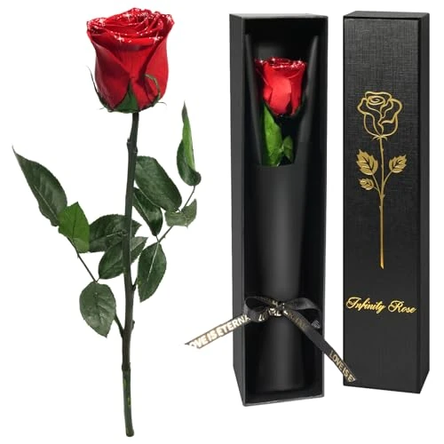 Yamonic Valentines Gifts for Her,Preserved Real Rose Gifts for Women, Single Red Rose with Stem Birthday Gift For Women, Eternal Flower Gift for Mum,Presents for Wife Girlfriend on Valentines Day