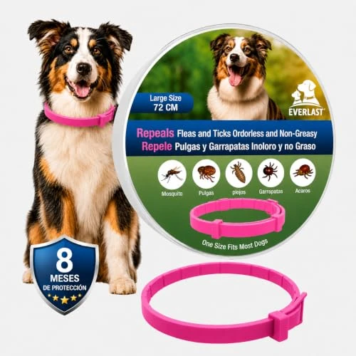 Offerta a tempo: Collare Antiparassitario per Cani - 8 Mesi di Protezione contro Pulci, Zecche, Zanzare e Acari - Efficace e Sicuro 100% Naturali (1, ROSA, 72CM) - 59% da 29.99 € a 12.26 €