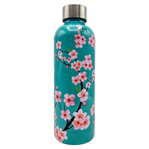 Offre limitée : Tognana Japan Collection Bouteille d'eau 500cc en acier inoxydable Vert d'eau de 15.01 € à 15.01 € (0.00% de remise)