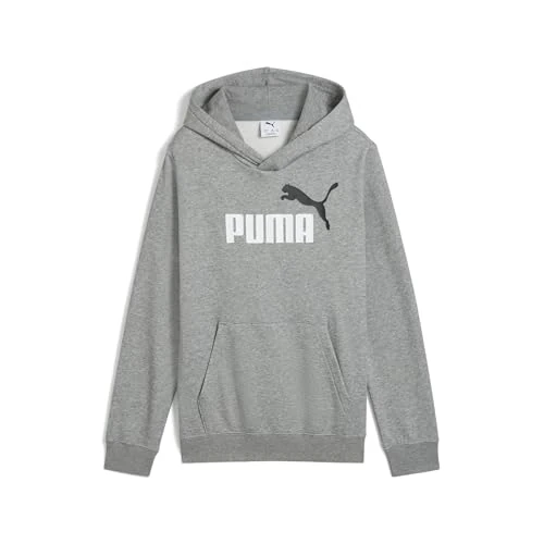 PUMA ESS 2 KLEUR Nr. 1 Logo Hoodie FL B