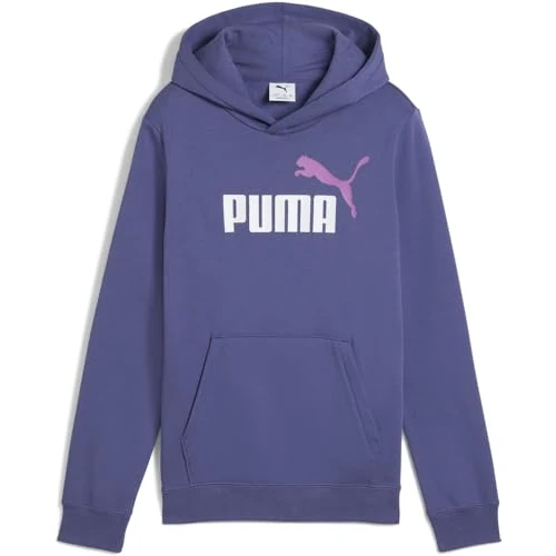 PUMA ESS 2 COLOR No. 1 Logo Hoodie FL B