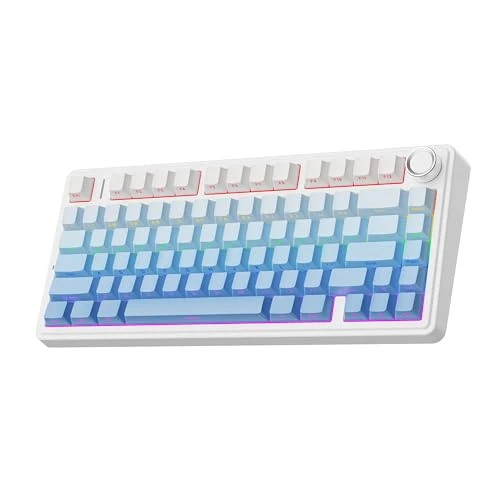 Offerta a tempo: EPOMAKER x Aula F75 Gasket Tastiera Meccanica al 75%, wireless/Bluetooth/USB-C, con cinque strati di pad, manopola, RGB, batteria, NKRO (Blue Ombre, LEOBOG Reaper Switch) - 24% da 99.99 € a 75.99 €