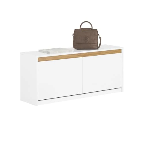 SoBuy Cassapanca Contenitore da Interno Panca Scarpiera da Ingresso con Contenitore e Seduta - Adatta a Ingressi, Soggiorni e Camere, Bianco, 104x30x47 cm, Testata per 240 kg, FSR171-W