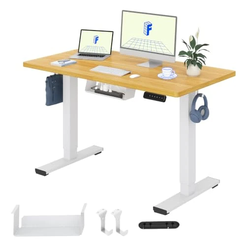 Oferta limitada: FLEXISPOT QE1 MAX 120x60cm Escritorio Elevable Eléctrico con Tablero Entero Mesa de Elevable, Standing Desk, Mesa Elevable Escritorio con 2 Ganchos y 4 Funciones de Memoria de 439.99 € a 249.99 € (ahorro 43.18%)
