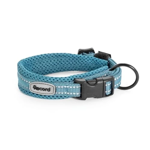 Record - Collar Perro Andes - Fabricado en Nylon Resistente - Detalles Reflectantes - Clip de Cierre de plástico - Color Azul - Talla S - 2 cm - Circunferencia 35-40 cm