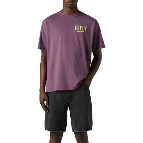 Offerta a tempo: Levi's Vintage Fit Graphic Tee Serif Logo Grey, Logo Serif Grigio/Viola, S - 0.00% da 19.50 € a 19.50 €