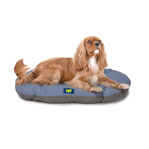 Oferta limitada: Ferplast Cama para Perros y Gatos, Cojín para Perros medianos, Cojin para Gatos, Alfombra para casetas y Coches - Lavable - en Algodón con Acolchado Suave, 78 x 50 m. Cielo Azul de 54.40 € a 10.62 € (ahorro 80.48%)
