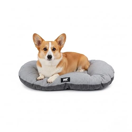 Oferta limitada: Ferplast Cama para Perros y Gatos, Cojín para Perros medianos, Cojin para Gatos, Alfombra para casetas y Coches - Lavable - en Algodón con Acolchado Suave, 65 x 42 cm. Marrón de 12.60 € a 11.14 € (ahorro 12%)