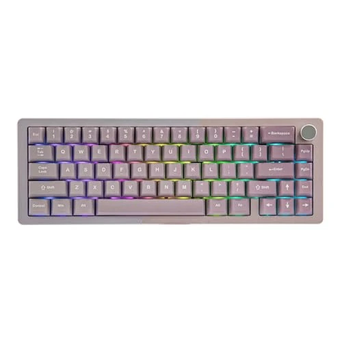 Offerta a tempo: KiiBoom Loop 65 65% Vollaluminium-Blockstruktur Mechanische Tastatur, QMK/VIA Gaming Tastatur, BT5.0/2.4GHz/USB-C Wireless Tastatur, Multiple Layout, Dichtung, FR4 Platte, RGB für Win/Mac (rosa viola) - 0.00% da 115.19 € a 115.19 €