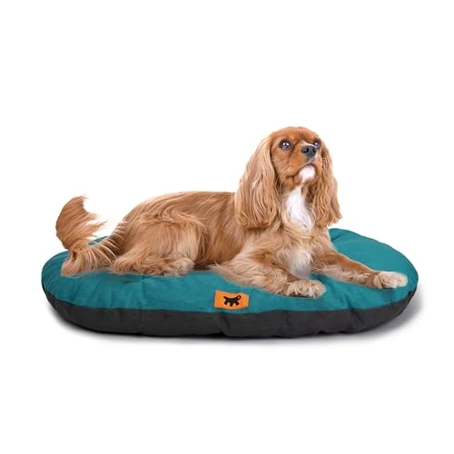 Offre limitée : Ferplast Panier Chien Relax, Coussin Chiens Moyen, Panier Chat, Tapis pour chenils et voitures, Lavable, en coton avec rembourrage doux, 78 x 50 x m. Ottanio de 34.40 € à 34.40 € (0.00% de remise)