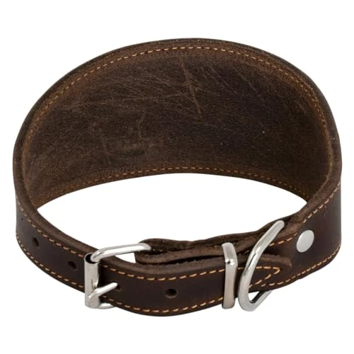 JACK AND VANILLA, Collare per Levriero per Cani, Modello Pelle grassa, Colore Marrone, Misura 48 cm