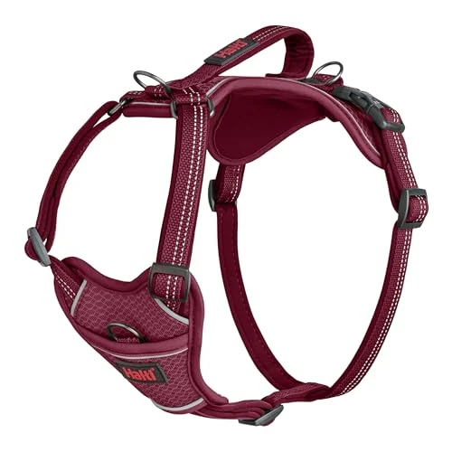 Offre limitee: Harnais pour Chien HALTI Anatomy avec poignée - Offre à Votre Chien Une liberté de Mouvement pour Une Promenade Confortable. 3 Points d’Attache, Réglable et Réfléchissante (Taille S, Magenta) de 46.99 EUR a 46.99 EUR (economie 0%)