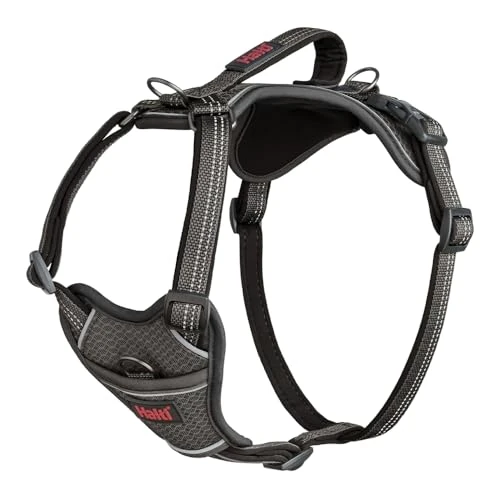 Offerta a tempo: Pettorina HALTI Anatomy con impugnatura - Regala al tuo cane libertà di movimento per camminare in comodità. 3 punti di aggancio per il guinzaglio, Regolabile e Catarifrangente (Taglia L, Grigio) - 0.00% da 51.99 € a 51.99 €