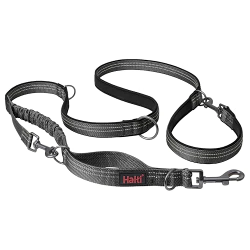 Tijdelijke aanbieding: HALTI Anatomy multifunctionele hondenlijn - Reflecterende Lijn met schokabsorberend tussenstuk en twee clips, ideaal om honden te trainen en uit te laten. Geschikt voor puppy's (Maat L, Grijs) van 34.99 € naar 32.99 € (6% korting)