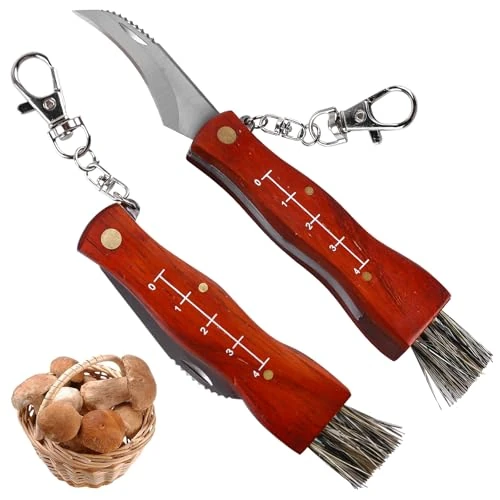 Oferta limitada: Cuchillo para setas de 2 piezas con cepillo y regla, cuchillo plegable para setas/trufa, cuchillo plegable para setas con cepillo cuchillo plegable para exteriores regalo para coleccionistas de setas de 4.99 EUR a 4.99 EUR (ahorro 0%)
