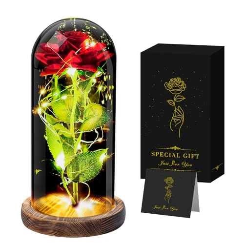 Offre limitée : Cadeau Noel Femme,Rose Eternelle Rouge,Cadeaux Noel pour Maman,Sa Copine,Mamie,Soeur,Belle Soeur,Maitresse,Meilleure Amie Anniversaire, Saint-Valentin, Thanksgiving Idee Cadeau Noel de 19.99 EUR à 19.99 EUR (remise 0%)