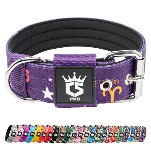 TSPRO Collare per Cani, Collare Tattico Regolabile con Fibbia in Metallo Robusto, Larga 3,8 cm, Resistente e Spesso per Cani Medi a Grandi (Viola Costellazione L)