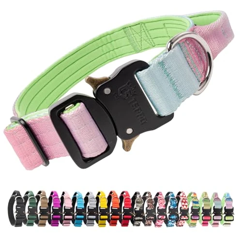 TSPRO Premium Collare per Cani, Regolabile Collare Tattico con Maniglia e una Robusta Fibbia Metallica a Sblocco Rapido, per Cani di Taglia Media a Grande (Cyan Gradiente M)