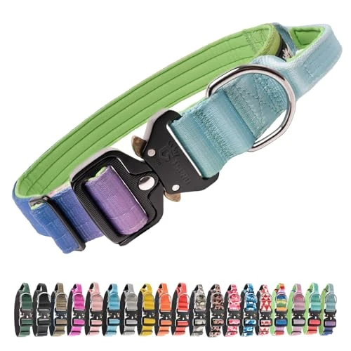 Offerta a tempo: TSPRO Premium Collare per Cani, Regolabile Collare Tattico con Maniglia e una Robusta Fibbia Metallica a Sblocco Rapido, per Cani di Taglia Media a Grande (Arcobaleno L) - 22% da 27.99 € a 21.75 €