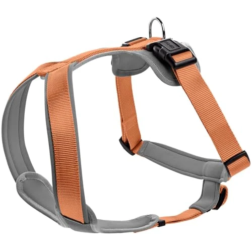 HUNTER Harnais pour Chien Néoprène, Couleur : cuivre/Gris, Nylon résistant, rembourré en néoprène Souple, matériau réfléchissant 3M Scotchlite Reflective 3M, Facile d'entretien, Confortable, Taille