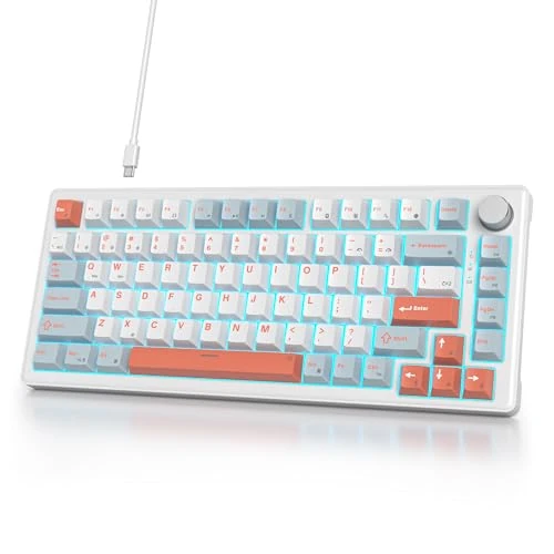 Offre limitée : V500 Clavier mécanique avec Bouton, Clavier de Jeu Filaire américain QWERTY 75%, Joint à Chaud, Interrupteur Blanc pré-lubrifié RVB, pour PC, Mac de 62.04 EUR à 50.25 EUR (remise 19%)