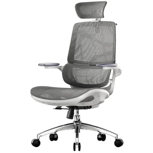 Offerta a tempo: SIHOO M59AS Sedia da Ufficio Ergonomica, con braccioli ribaltabili 3D, doppio schienale e supporto lombare adattivo, sedia in rete ideale per l’ufficio a casa(Grigio) - 20% da 259.99 € a 208.99 €