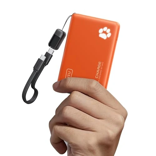 INIU Power Bank, 22,5 W, 10 000 mAh, ultracienki i lekki, szybkie ładowanie, Powerbank, wejście i wyjście USB C, przenośna ładowarka, port do iPhone 16, 15, 14, 13, 12 Pro, Max, Mini Plus, Samsung